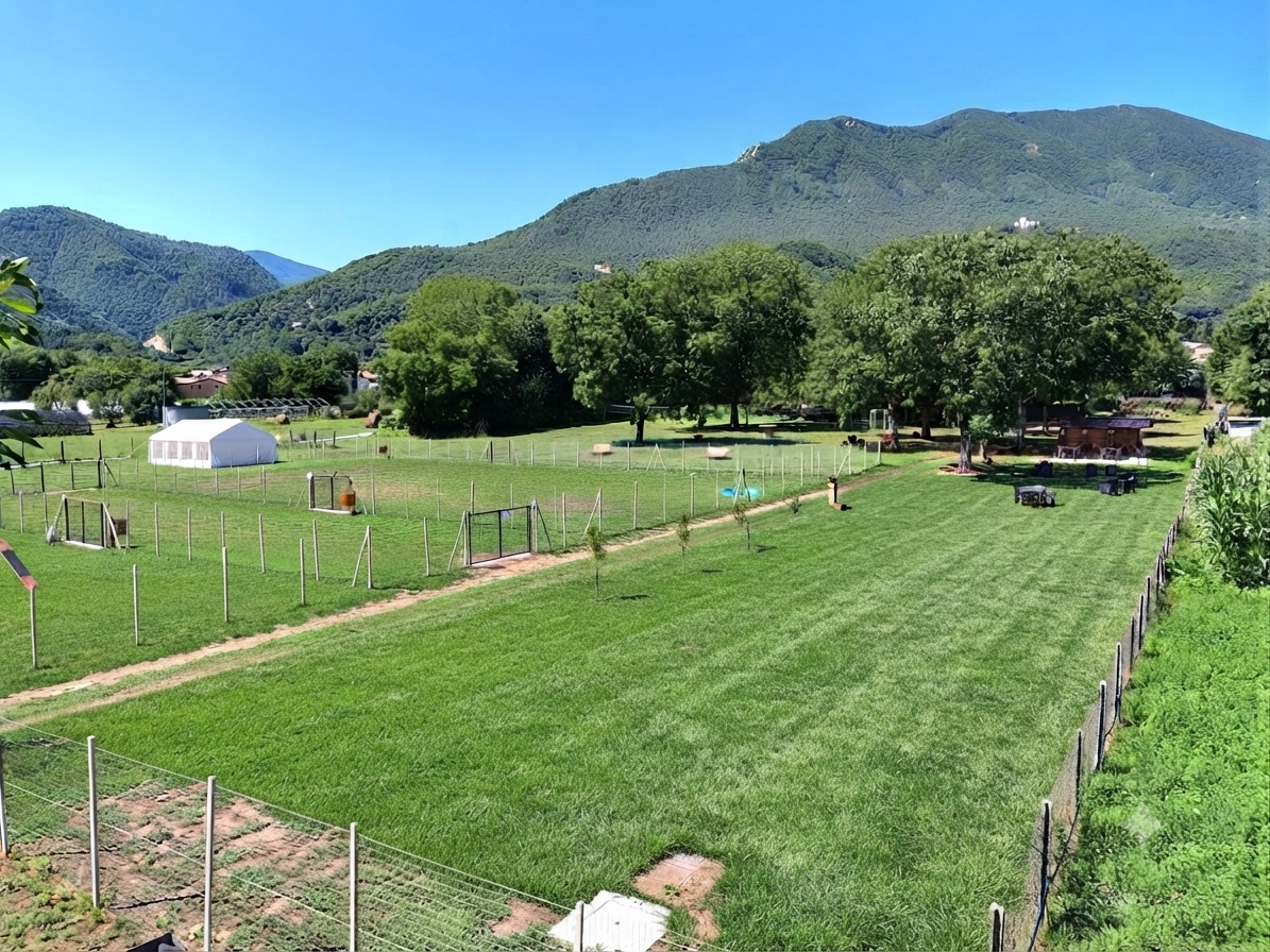 Vista panoramica del centro cinofilo ZampaMentis a Montella, tra verde e monti dell'Irpinia